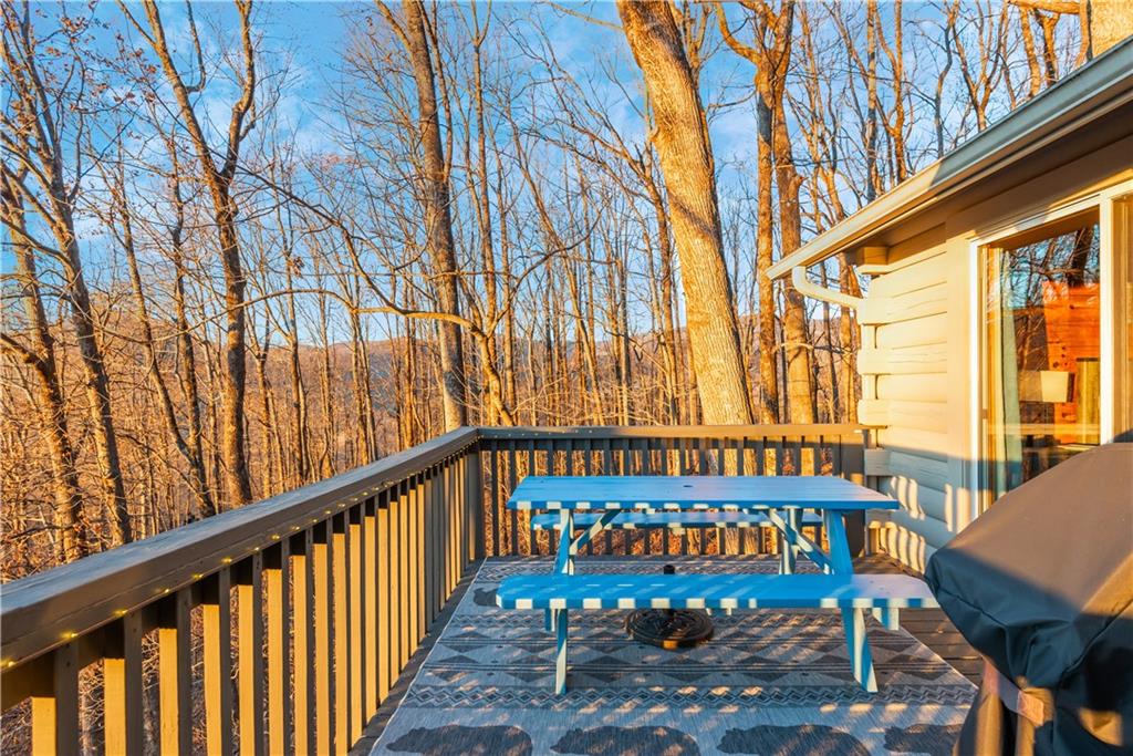 114 Mole Mountain Court