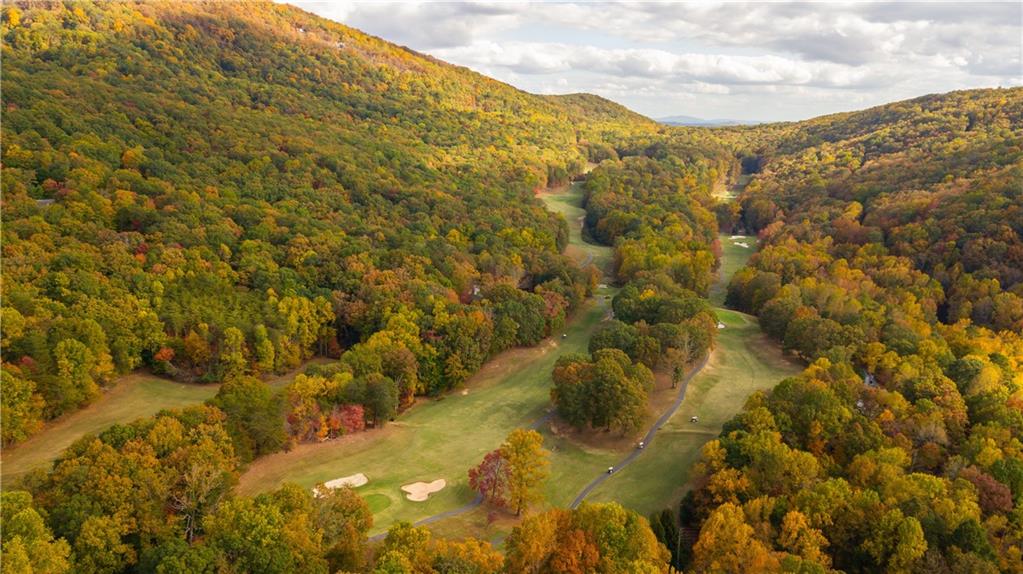 114 Mole Mountain Court