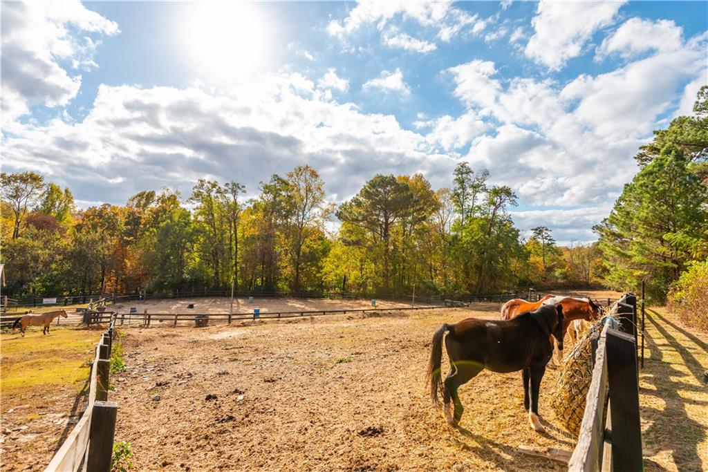 114 Mole Mountain Court