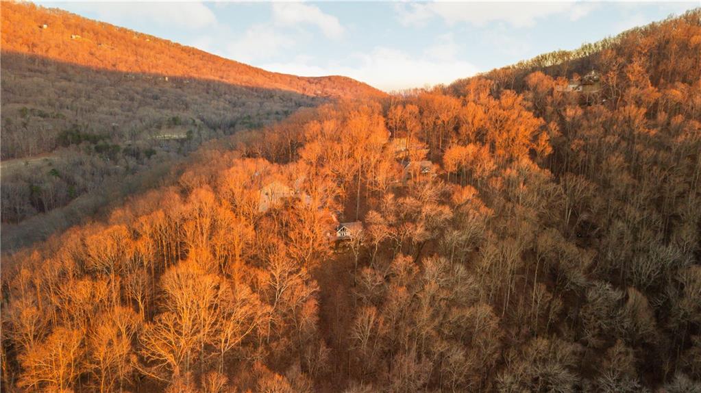 114 Mole Mountain Court