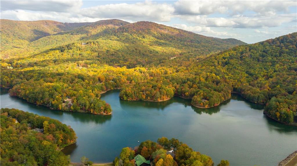 114 Mole Mountain Court