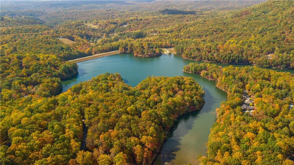 114 Mole Mountain Court