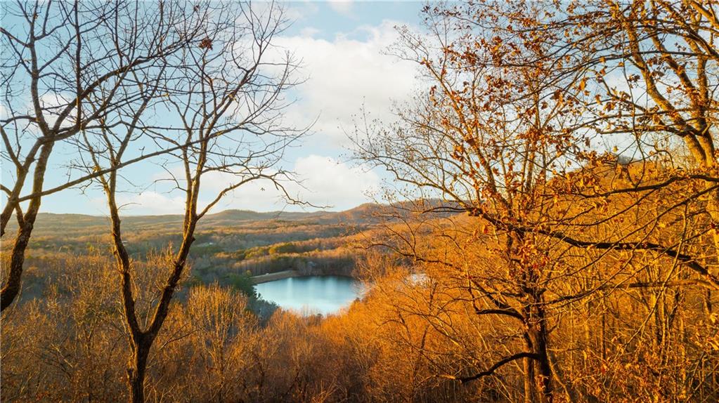 114 Mole Mountain Court