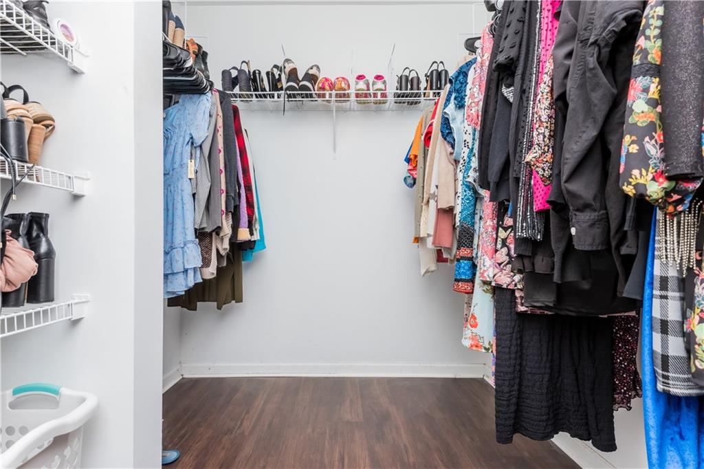 578 Stable View Loop