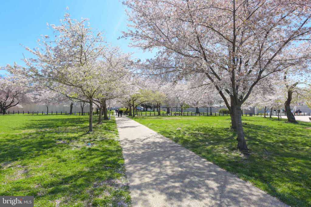 424 E CAPITOL STREET NE 3