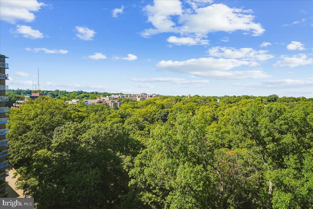 3001 VEAZEY TERRACE NW Unit: 1320