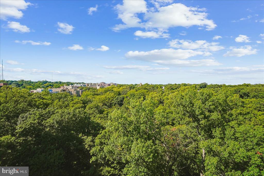 3001 VEAZEY TERRACE NW Unit: 1320