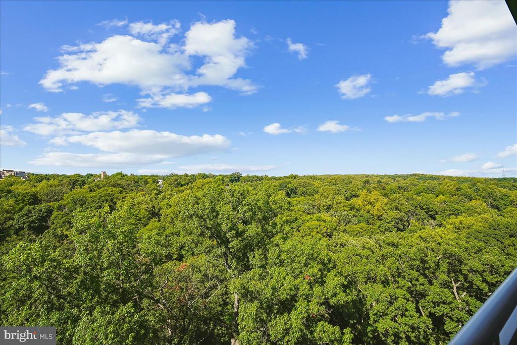 3001 VEAZEY TERRACE NW Unit: 1320