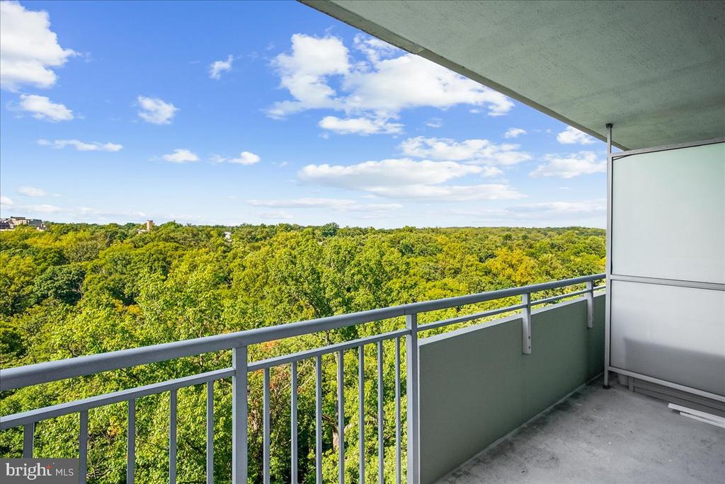 3001 VEAZEY TERRACE NW Unit: 1320