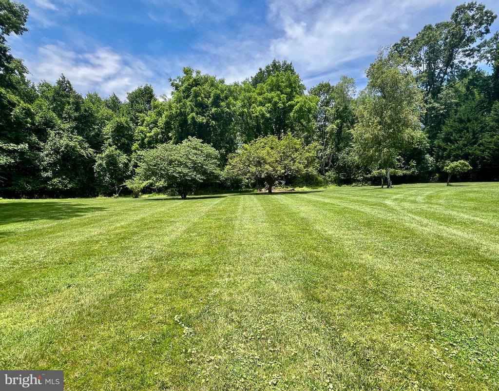3716 Park Overlook Ct