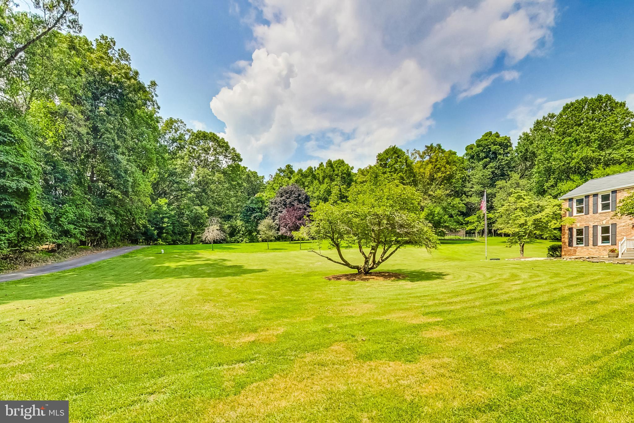 13083 Williamfield Dr
