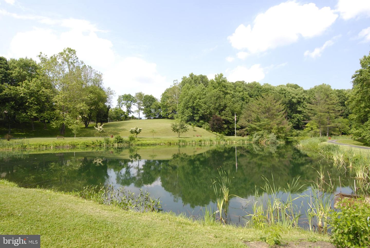 21 INFIELD CT N