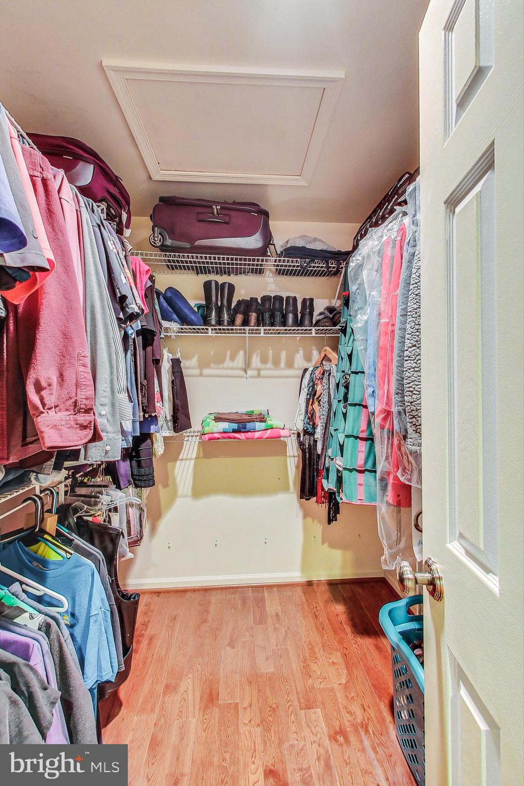 5910 Bloomingdale Ter