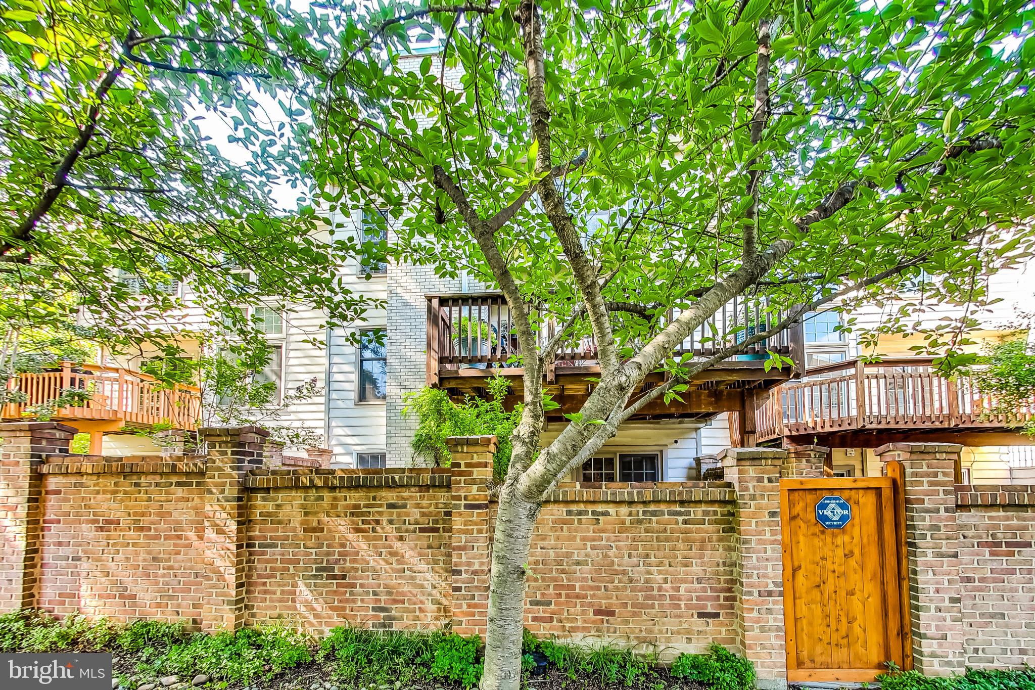5910 Bloomingdale Ter
