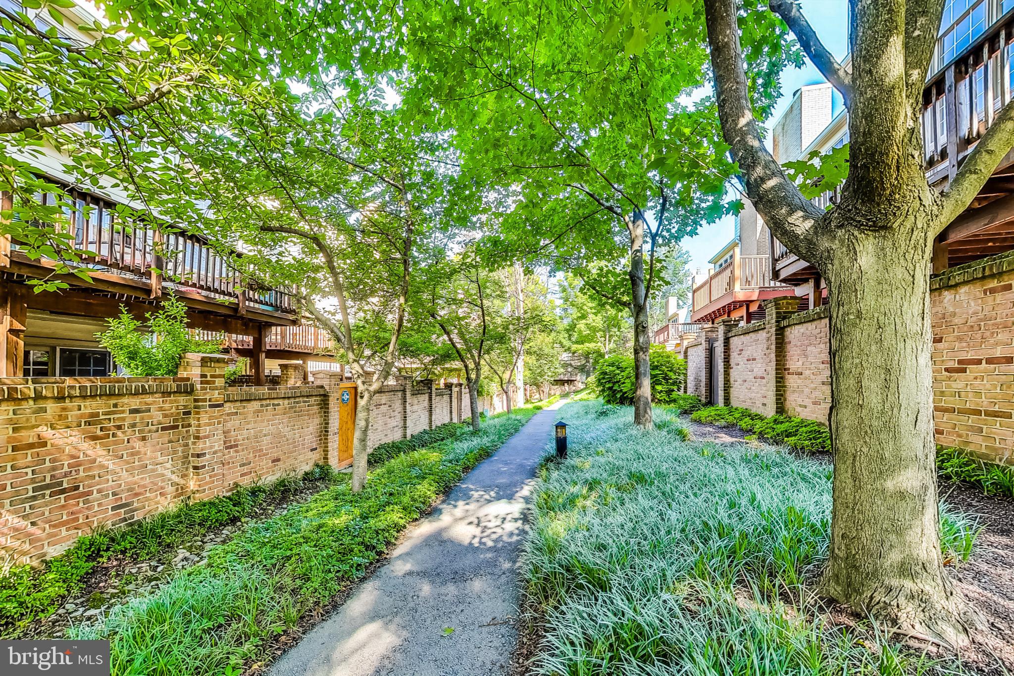 5910 Bloomingdale Ter