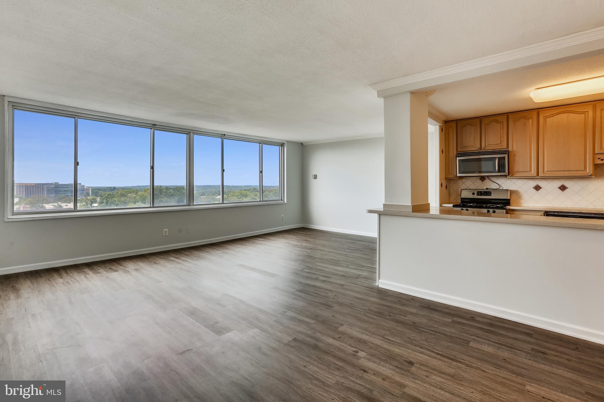 11801 ROCKVILLE PIKE 1113