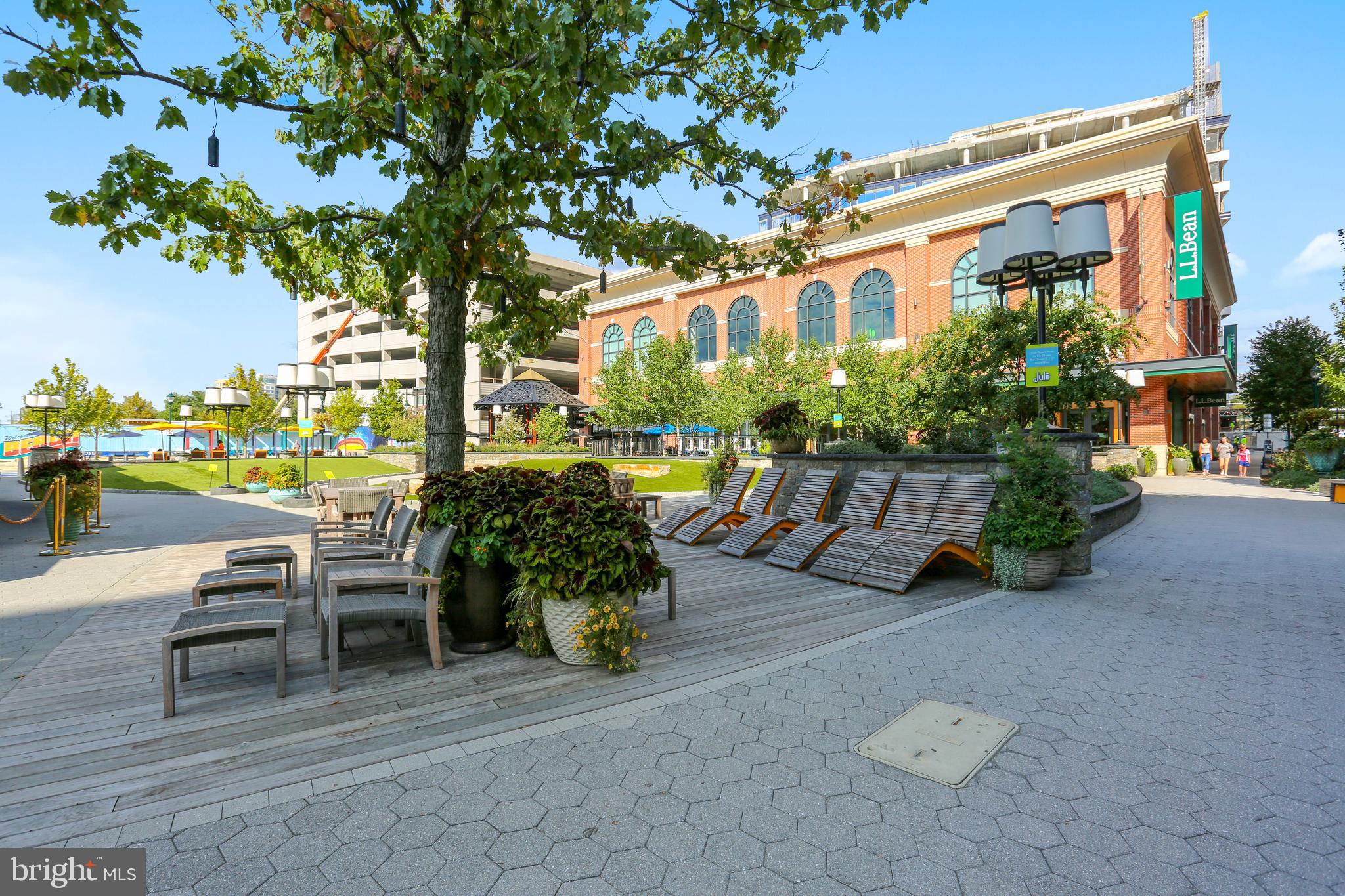 11801 ROCKVILLE PIKE 1113