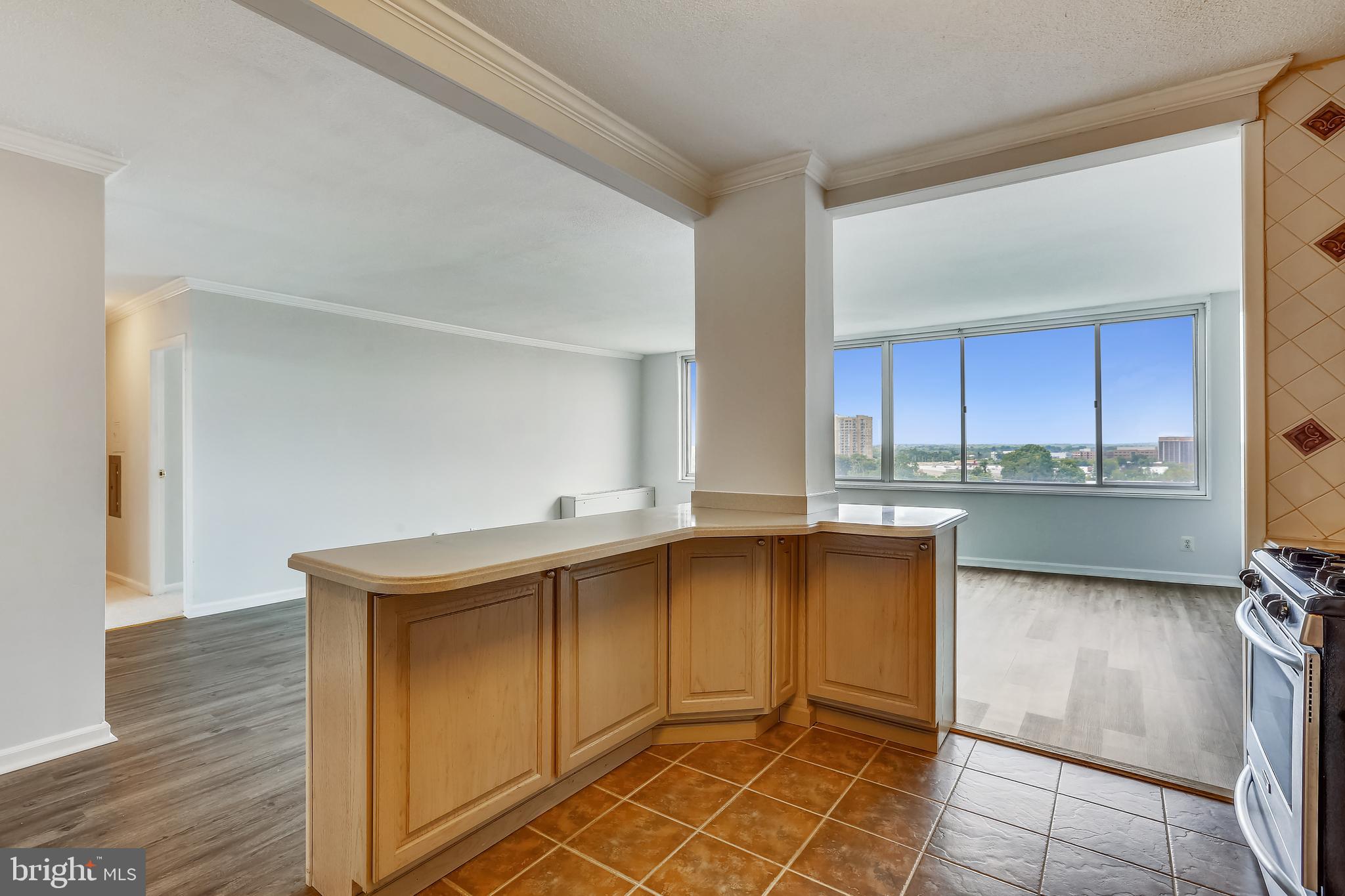 11801 ROCKVILLE PIKE 1113