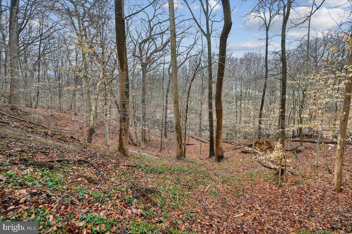 700 CHANEY DRIVE A 1