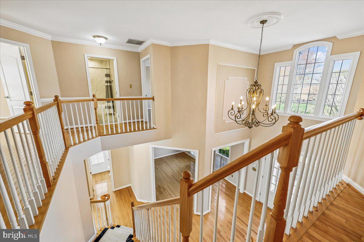 15200 COUNTRY GLEN COURT