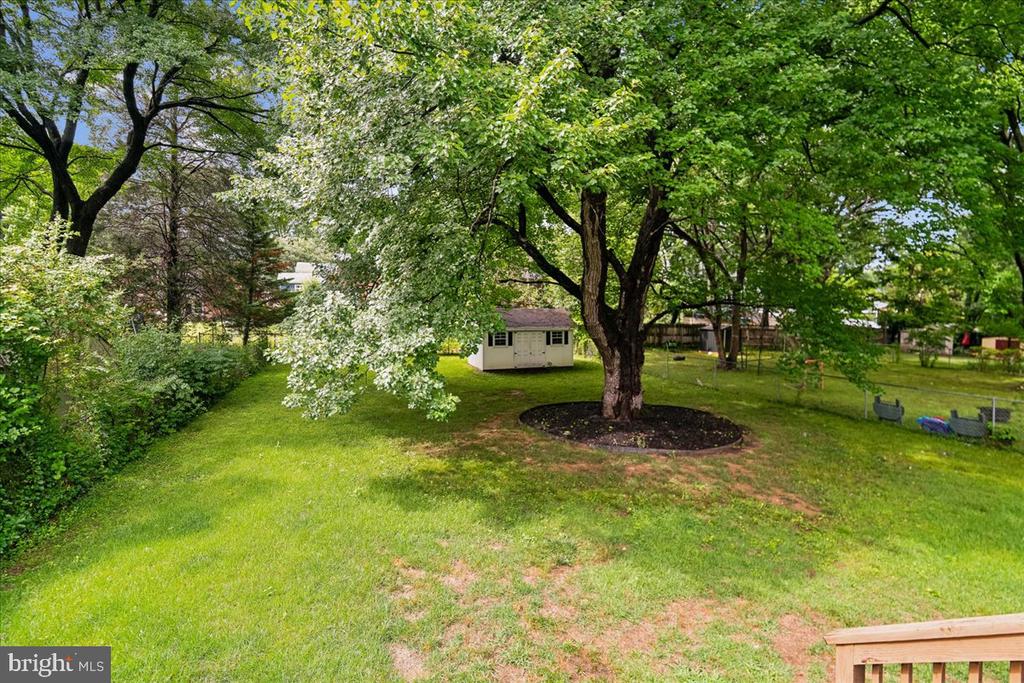 9817 CHERRY TREE LANE