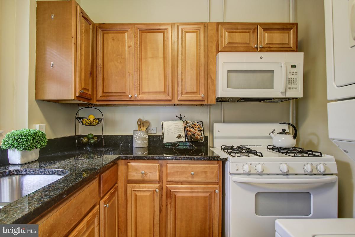 3552 MARTHA CUSTIS DRIVE