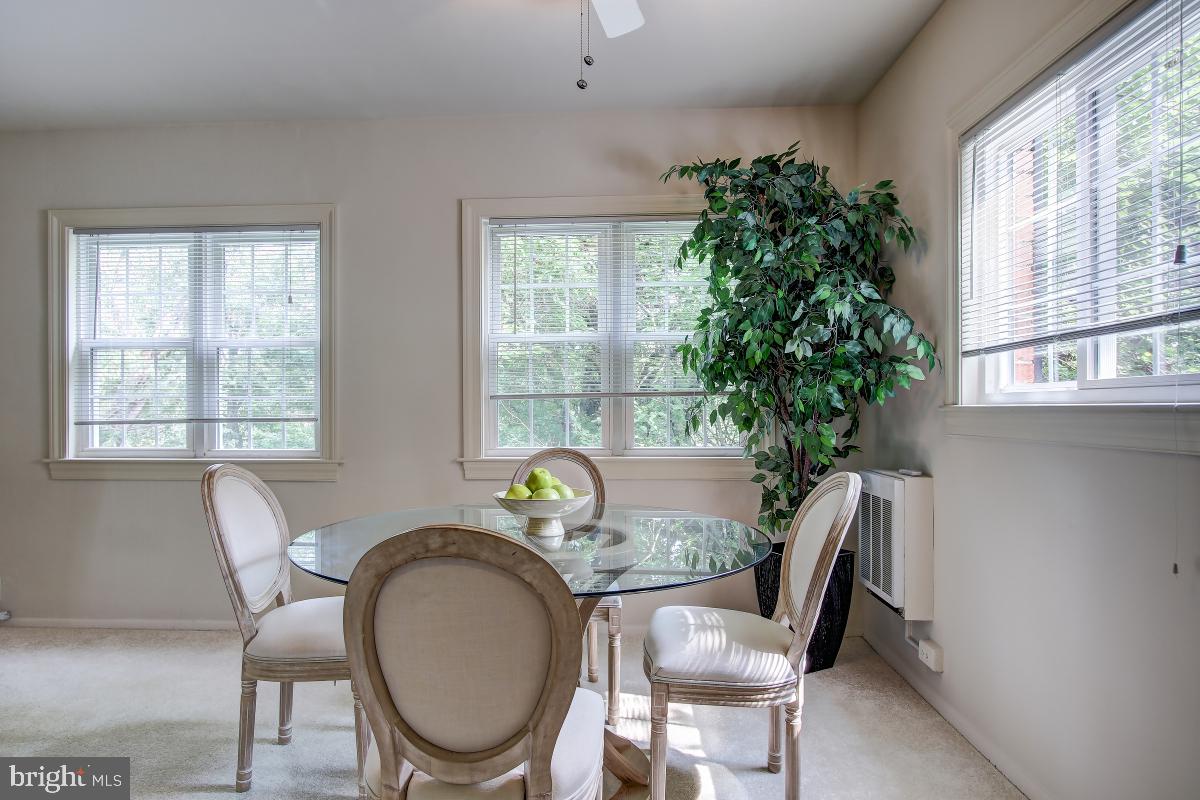 3552 MARTHA CUSTIS DRIVE