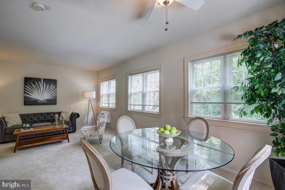 3552 MARTHA CUSTIS DRIVE