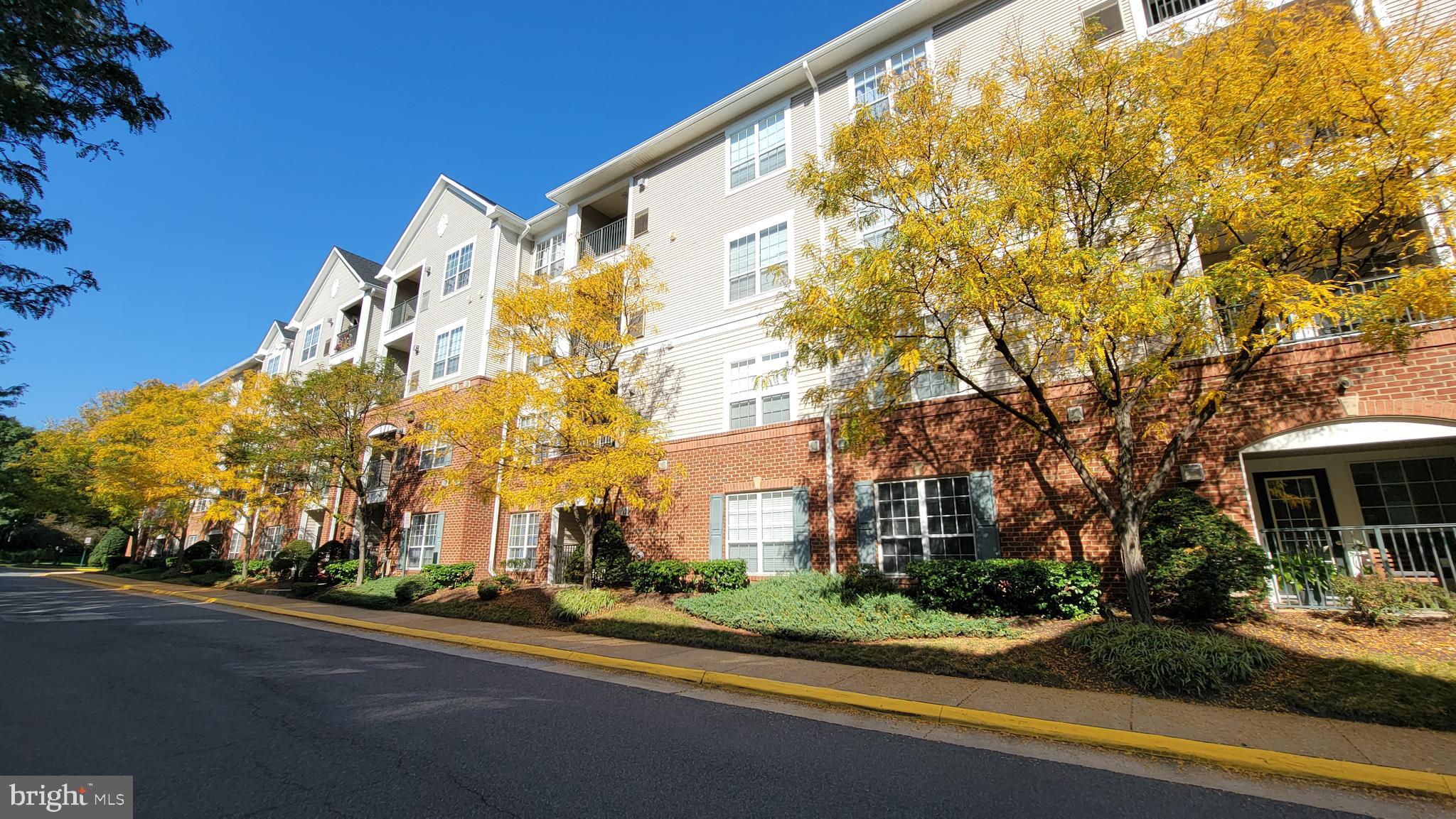 4860 Eisenhower AVENUE Unit: 175