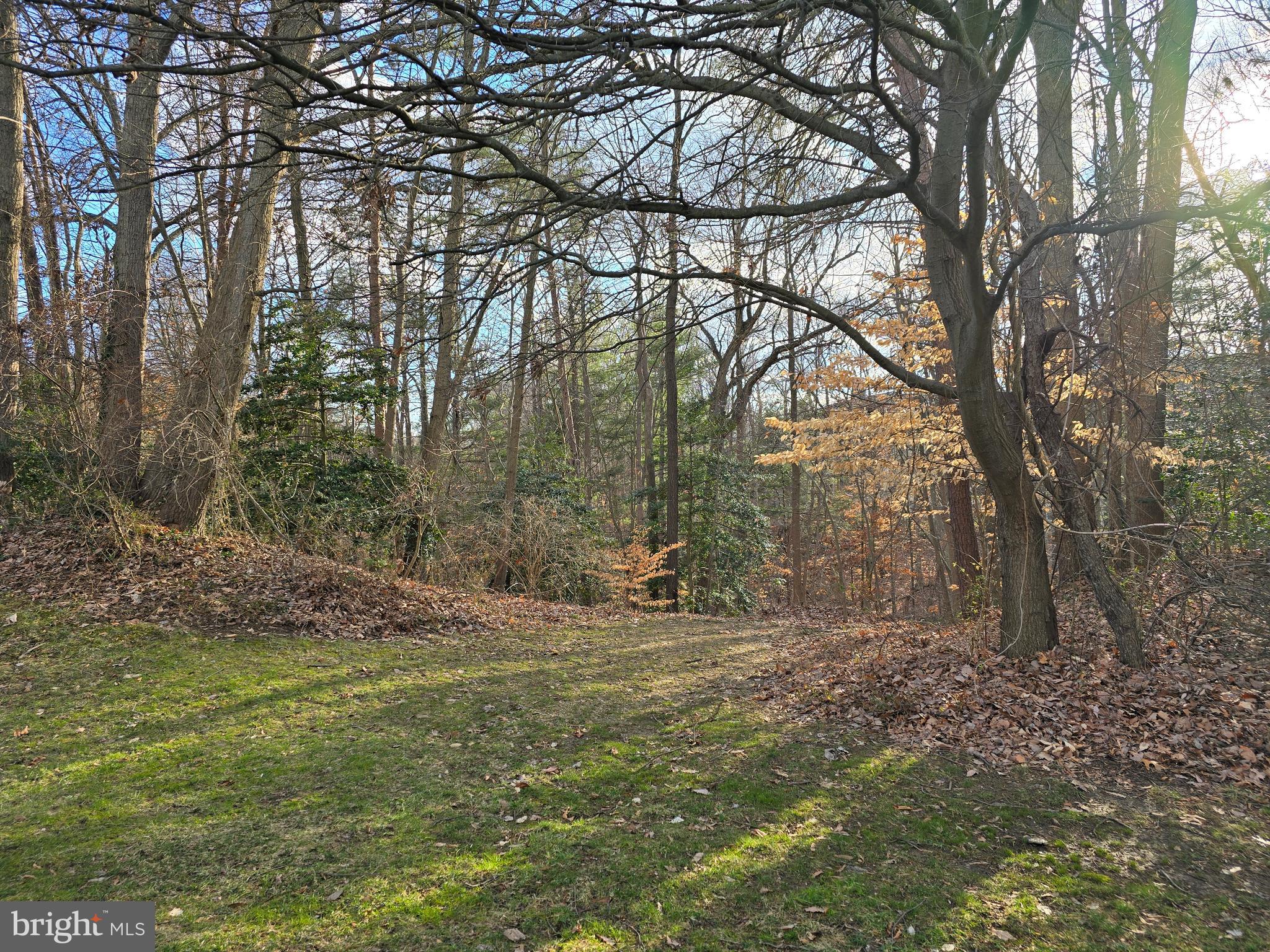 6009 MERSEY OAKS WAY 4C