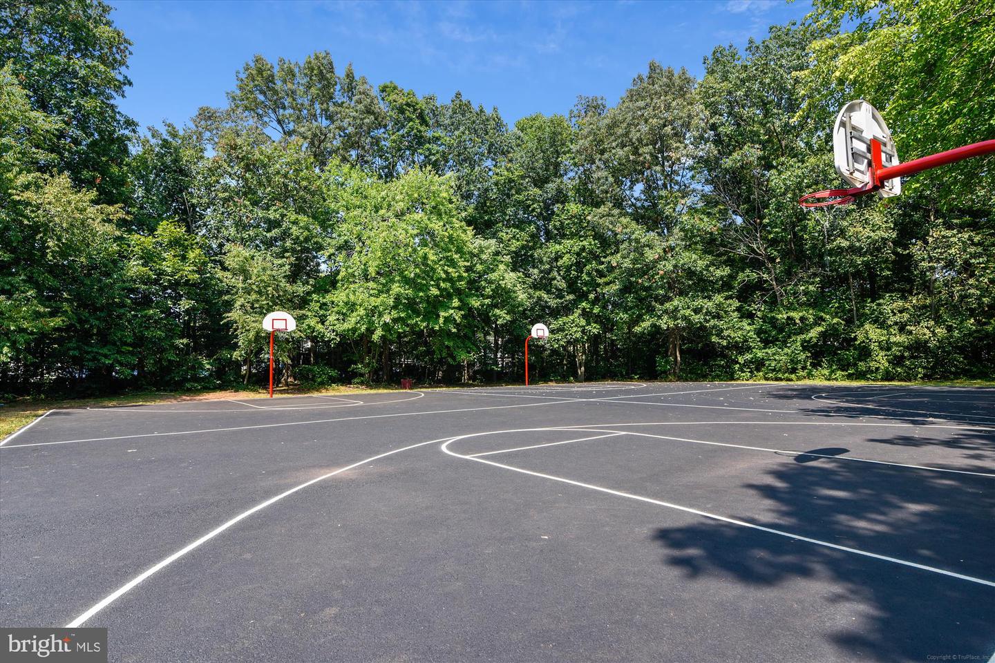 14333 Winding Woods Ct