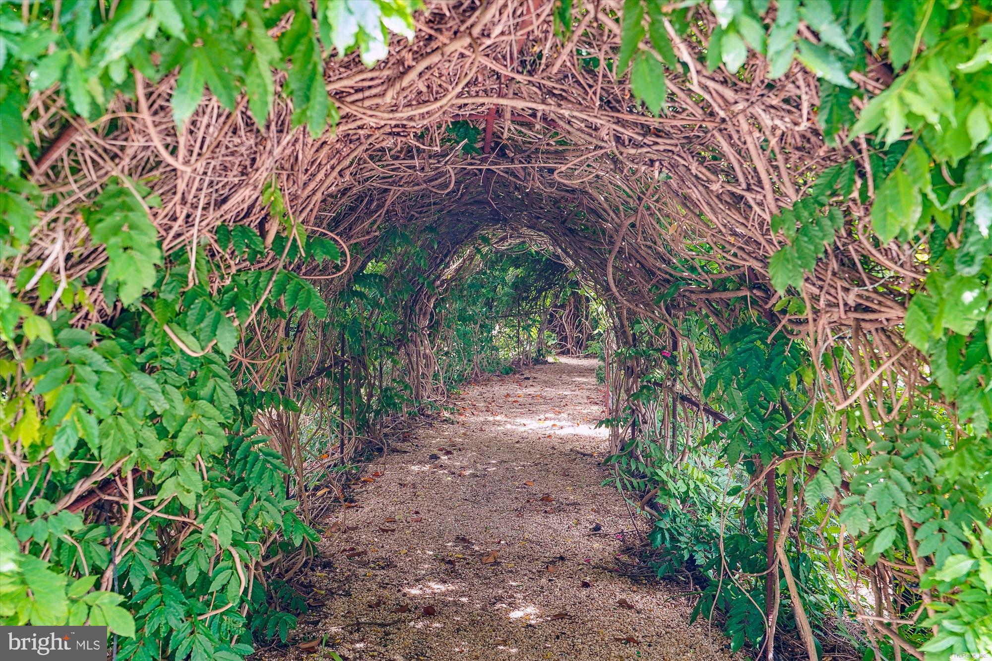 8340 GREENSBORO DR 618