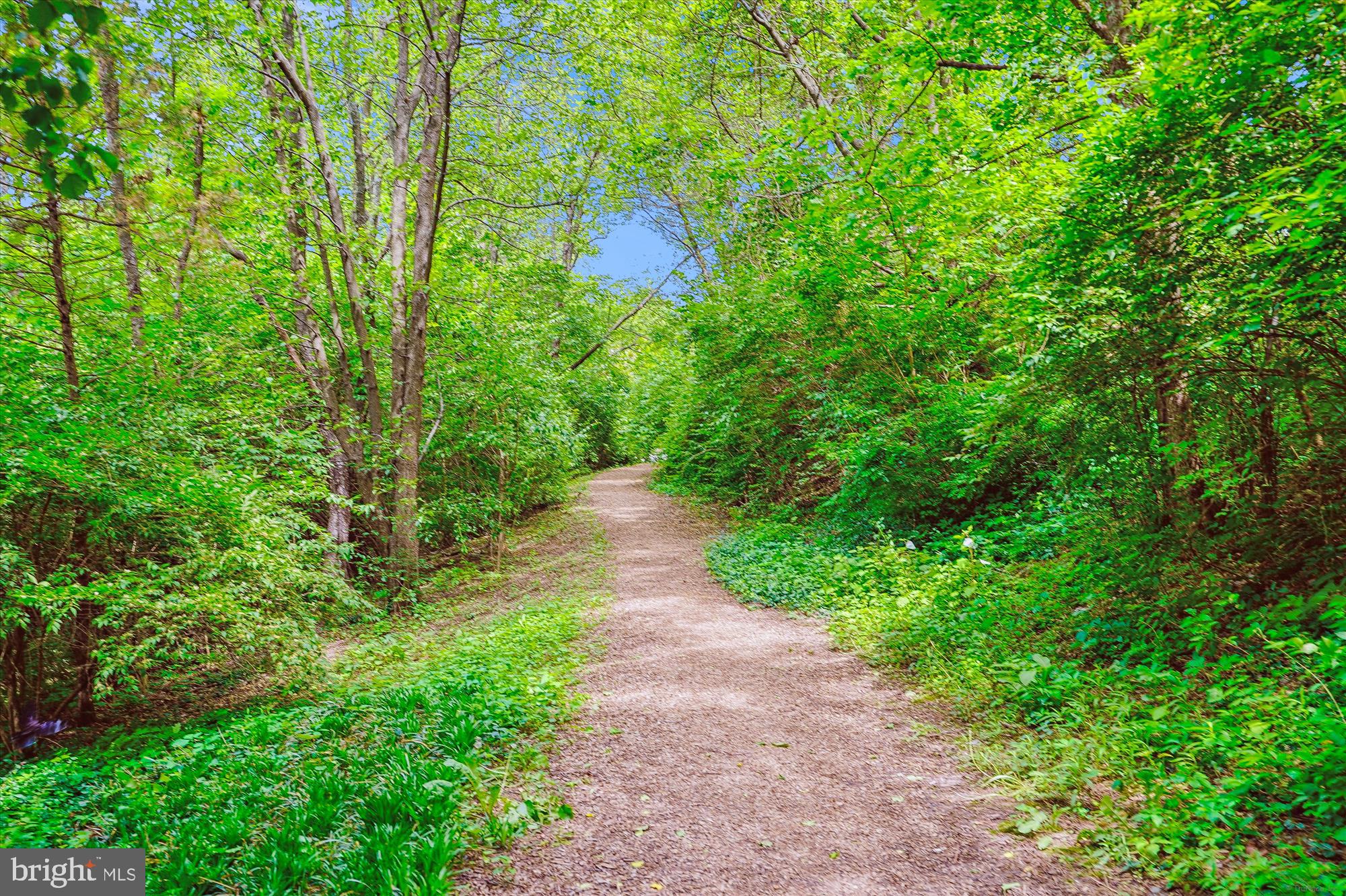 8340 GREENSBORO DR 618