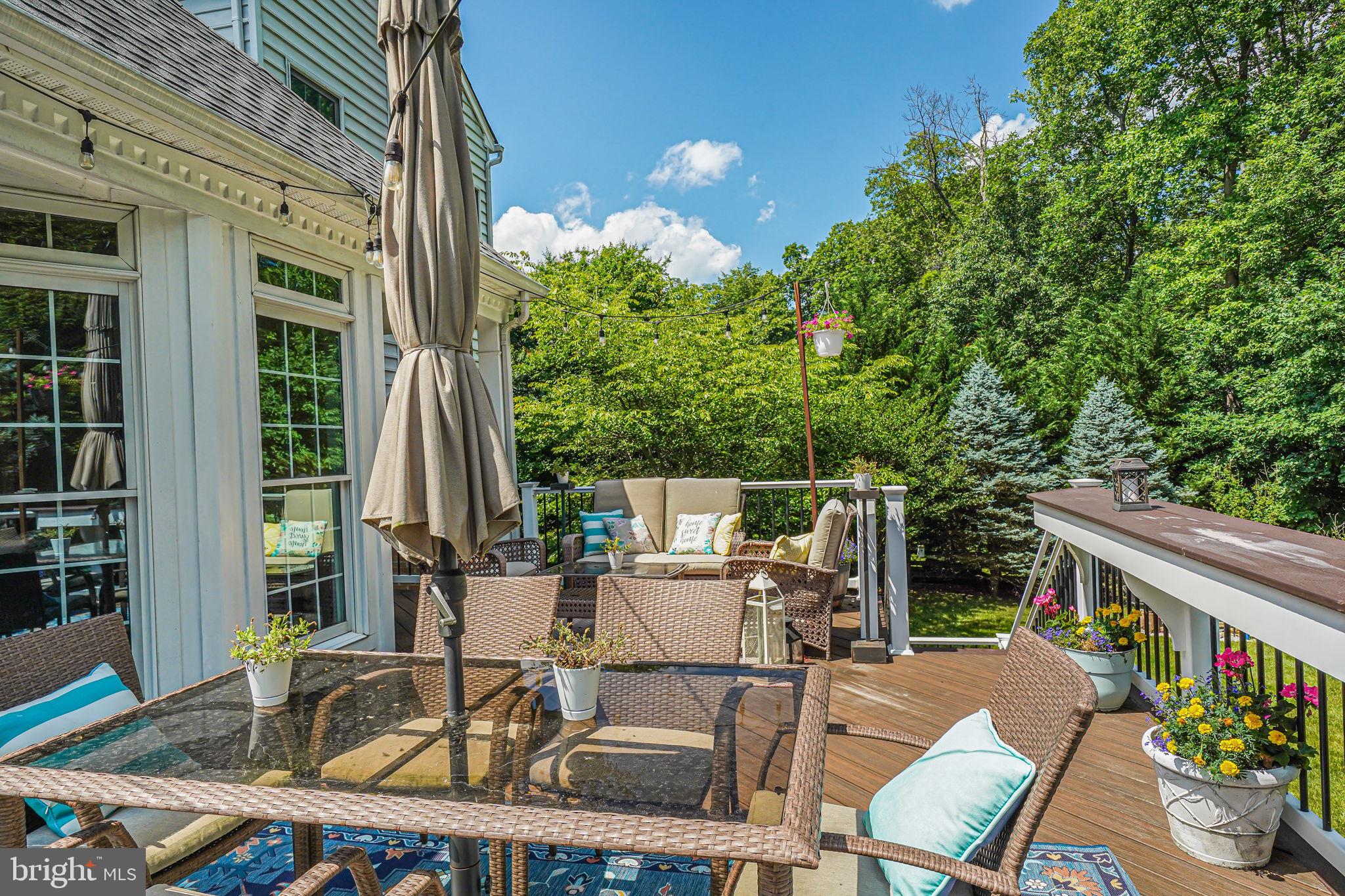 24124 Shady Knoll Cir