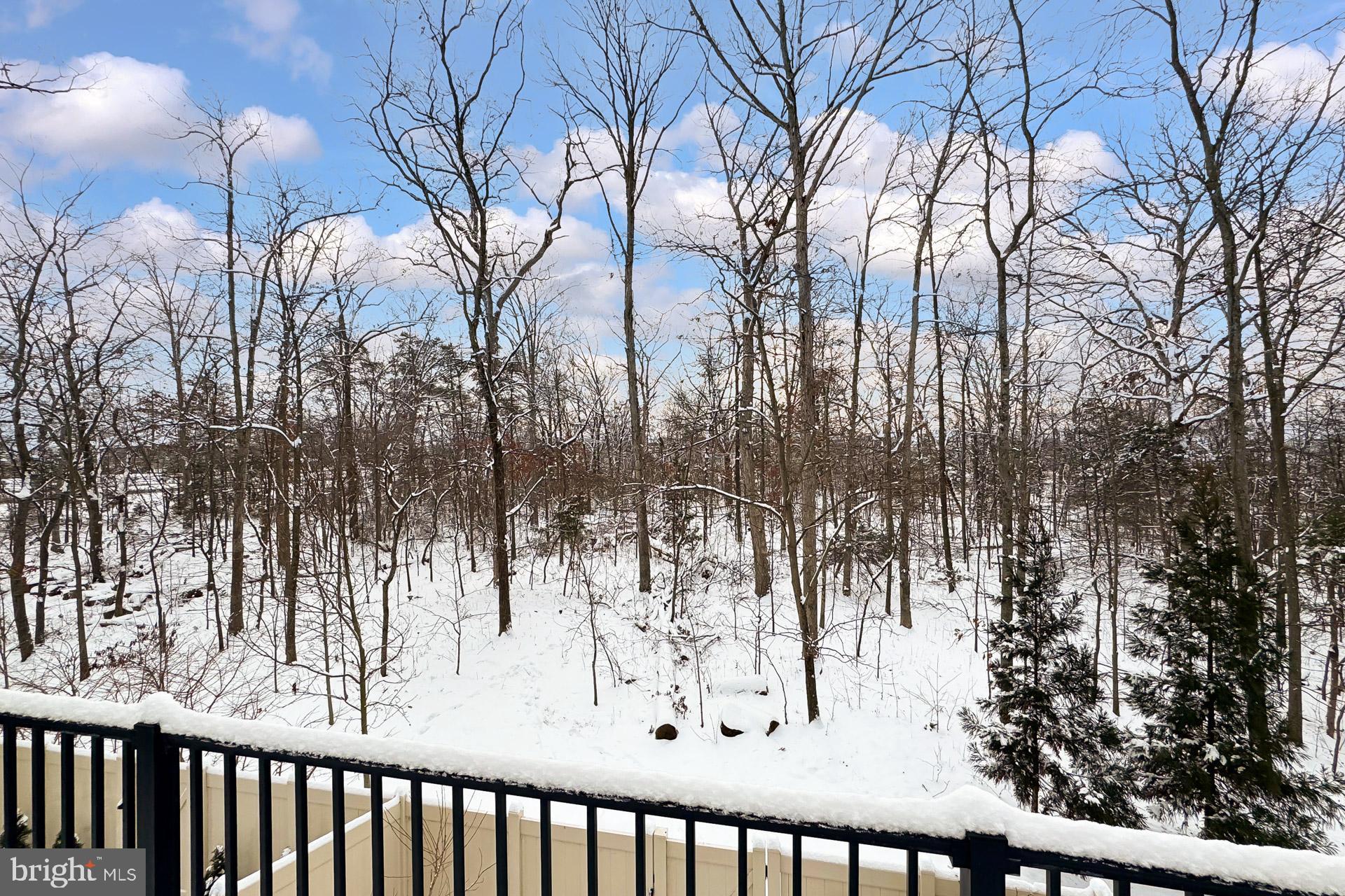 42508 MILDRED LANDING SQUARE