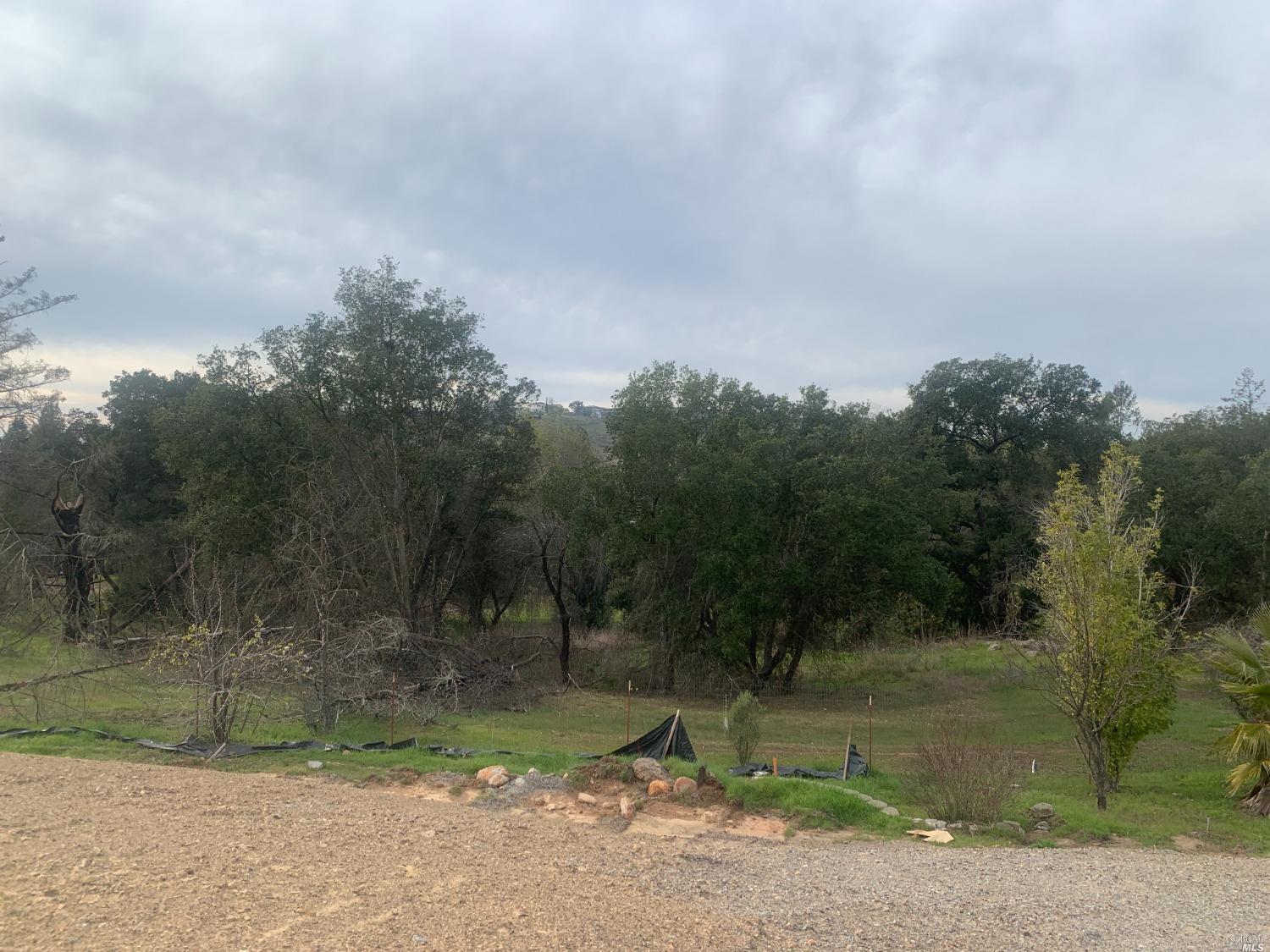 1975 W Bristlecone Ct