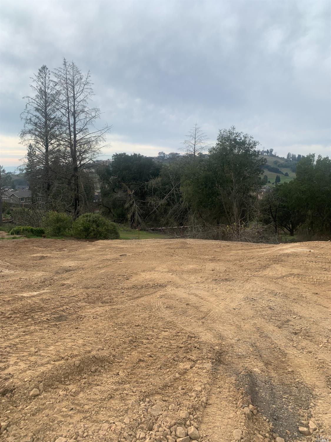 1975 W Bristlecone Ct