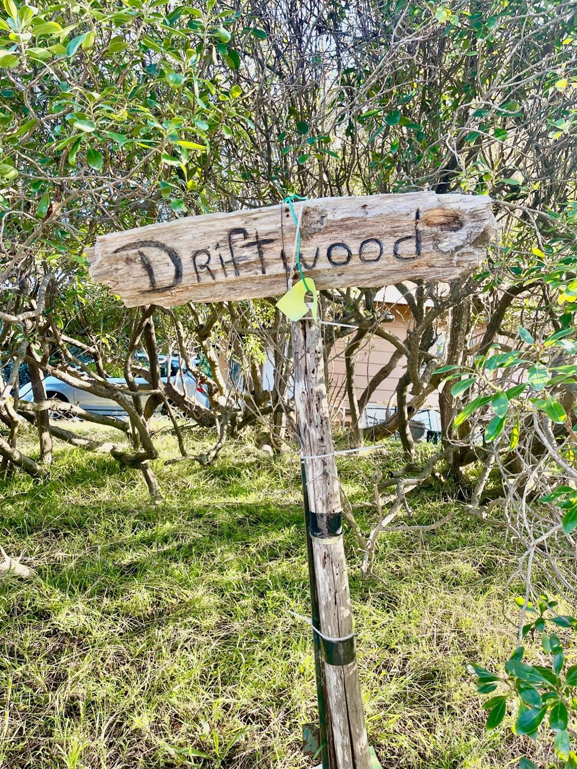 360 Driftwood Avenue