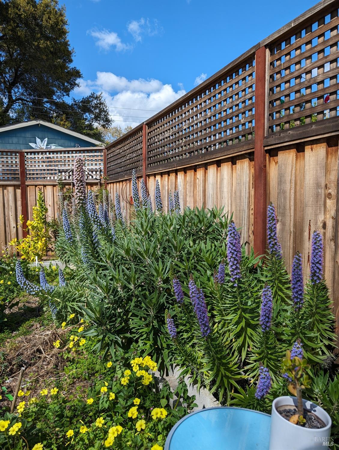 514 Juilliard Park Dr