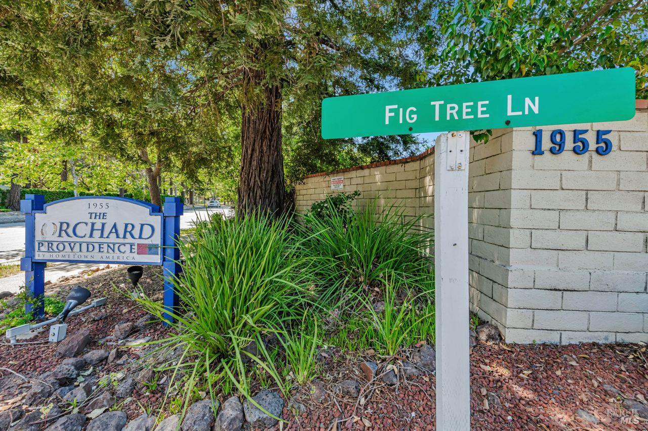 1955 Pinercrest Dr #227