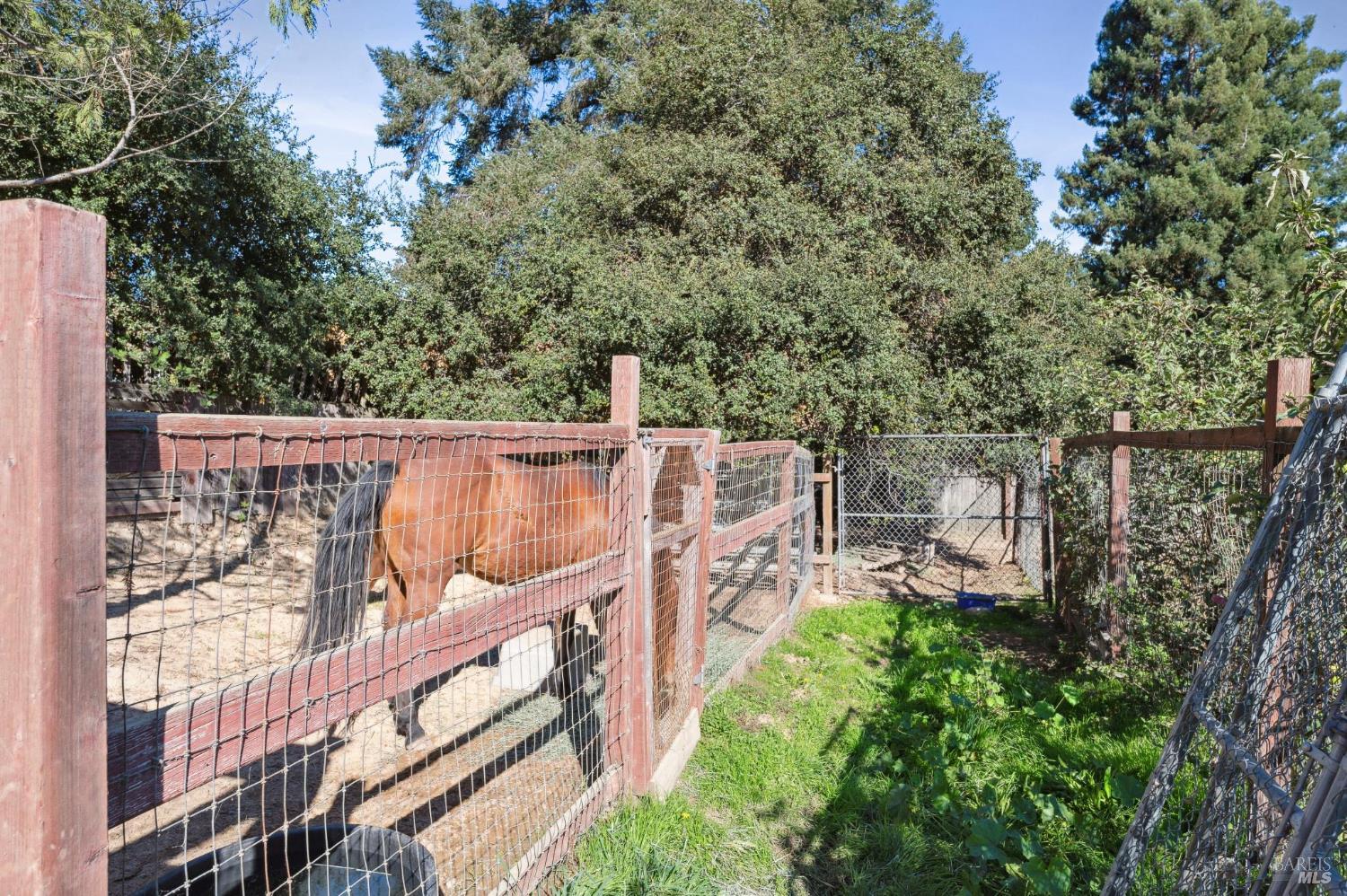 497 Pleasant Hill Road