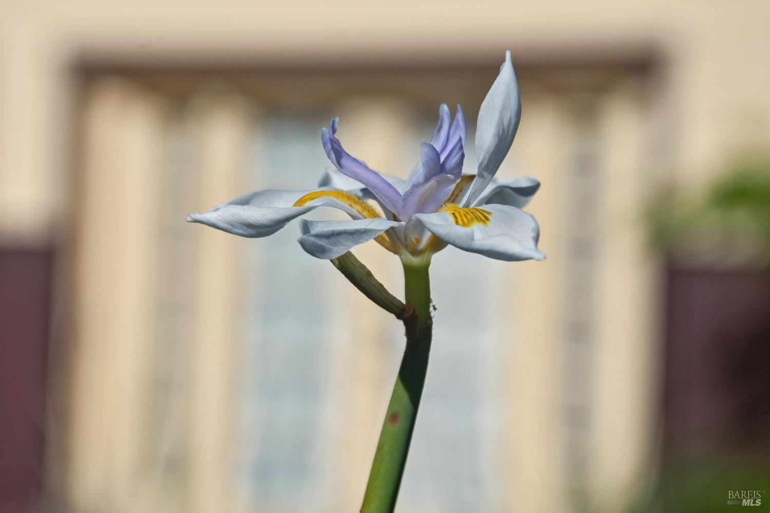 497 Pleasant Hill Road