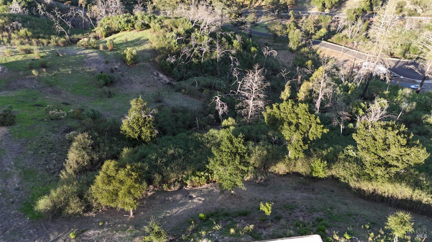 3912 Petalglen Place