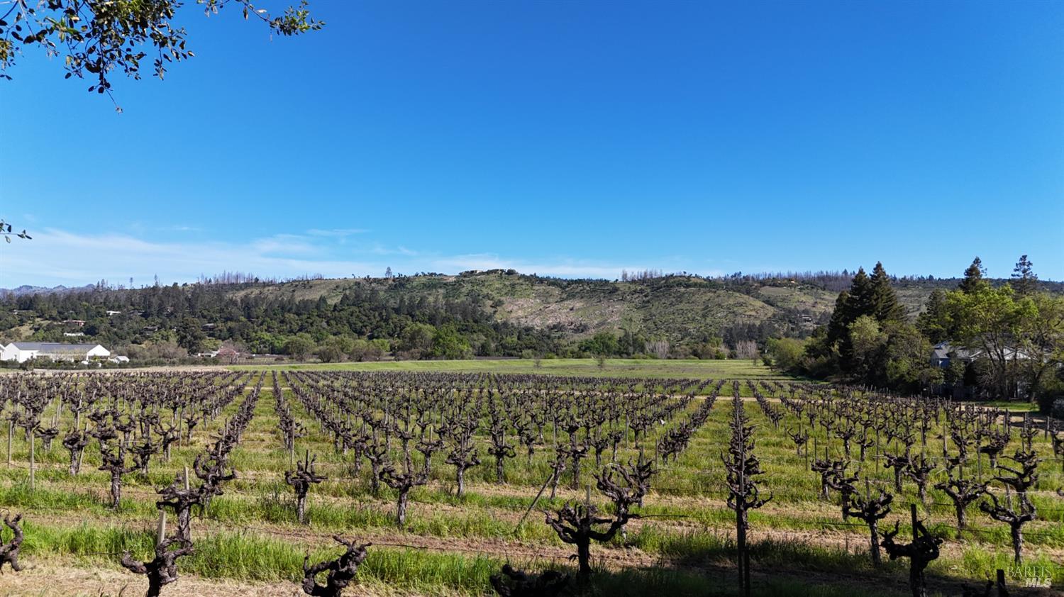 1328 Monte Vista Avenue