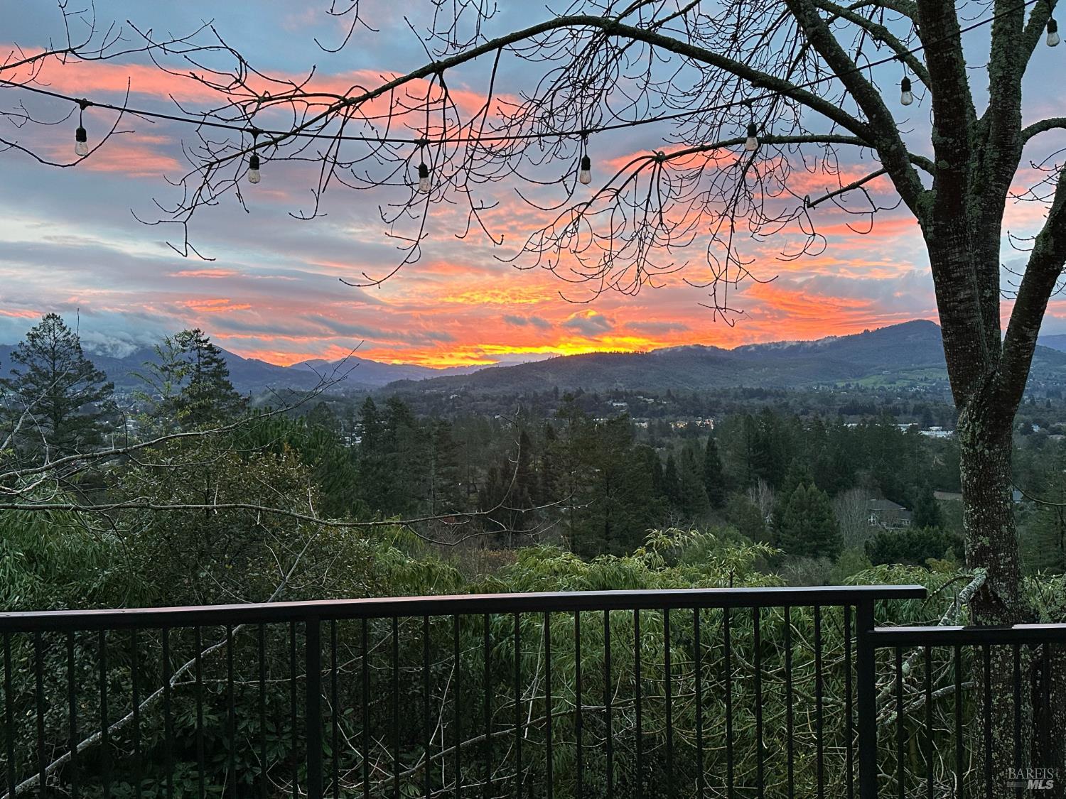 1424 Quail Court