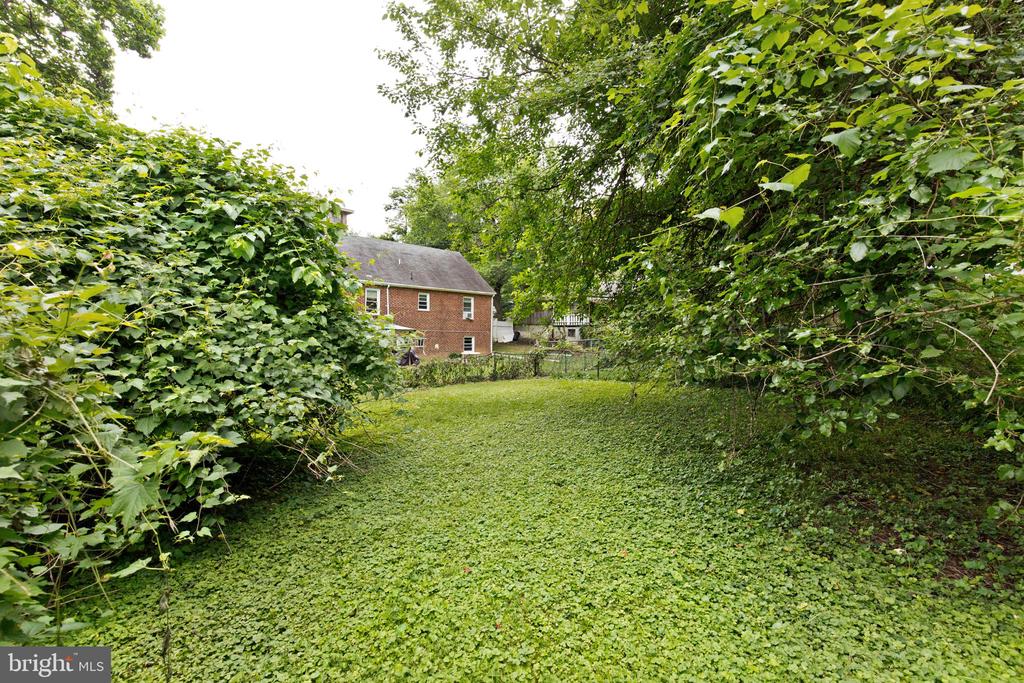 4344 OLD DOMINION DRIVE