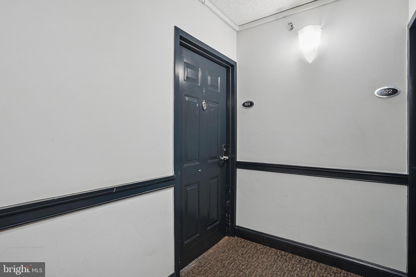 1001 Randolph St N #523