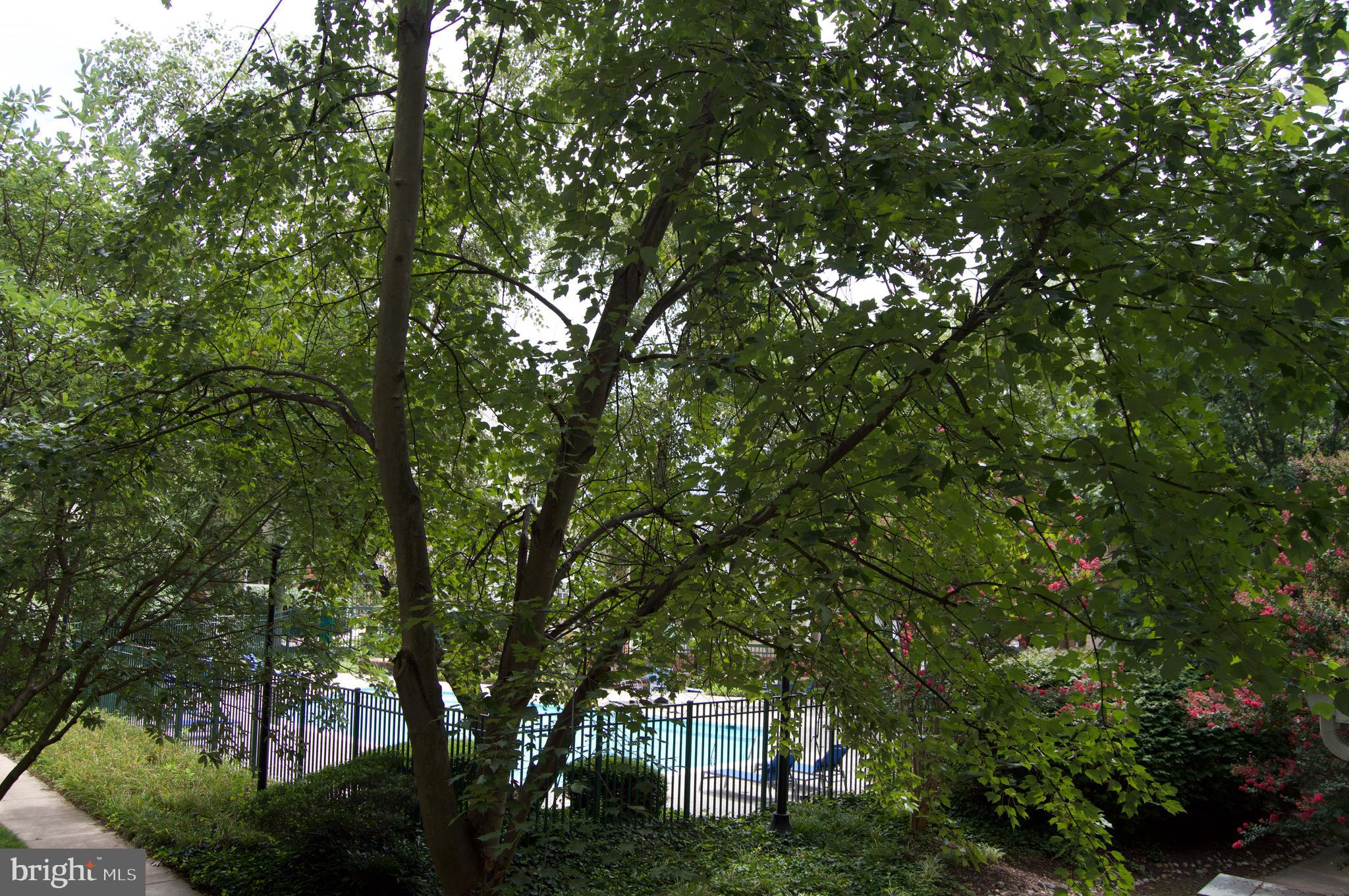 12911 ALTON SQUARE Unit: 201