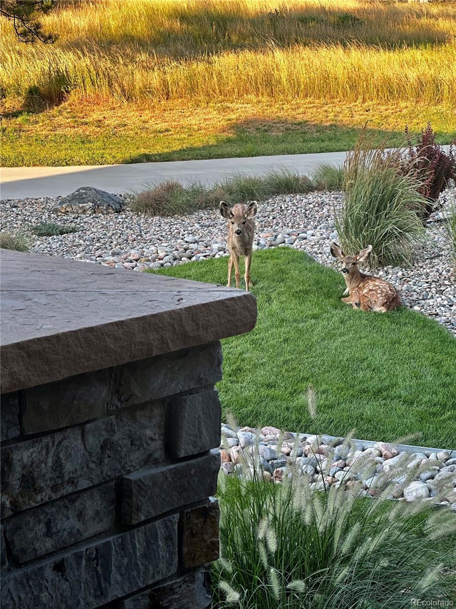 8436 Lost Reserve Court