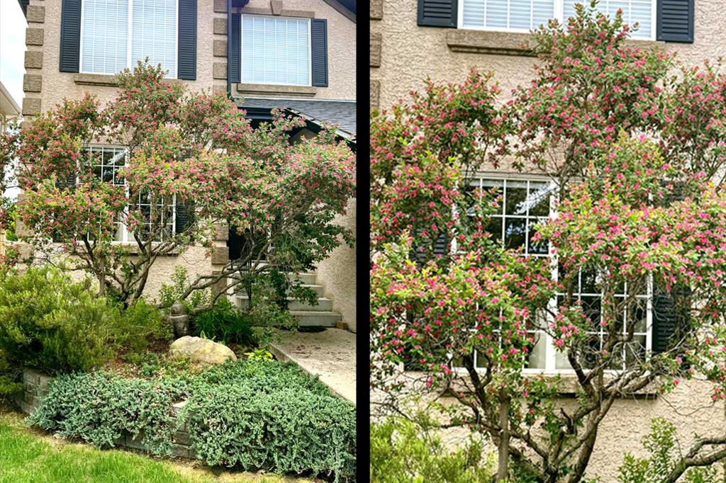 290 Tuscany Ridge Park NW